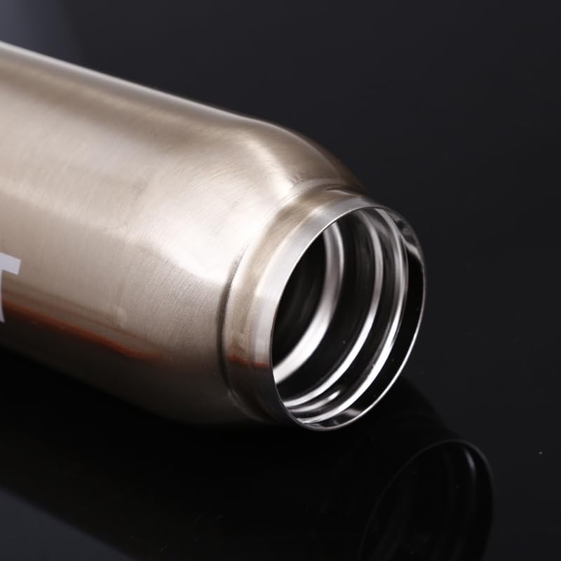 Sport Stainless Steel Double Wall Vacuum Insulated BPA Free Water Bottle